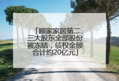 顾家家居第二、三大股东全部股份被冻结，债权金额合计约20亿元