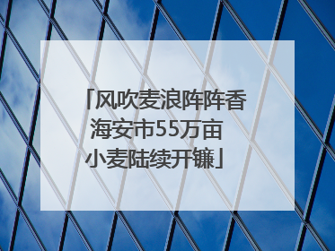 风吹麦浪阵阵香 海安市55万亩小麦陆续开镰