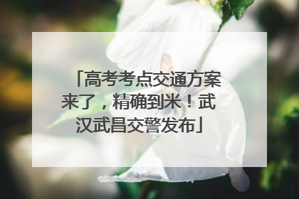 高考考点交通方案来了，精确到米！武汉武昌交警发布