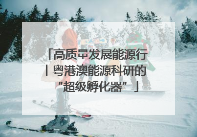 高质量发展能源行丨粤港澳能源科研的“超级孵化器”