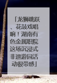 龙狮跳跃、花鼓戏唱响！湖南有色金属职院这场沉浸式非遗游园活动很带感