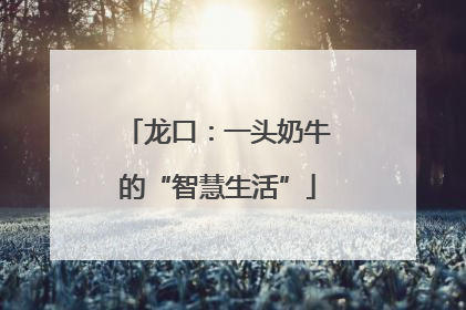 龙口：一头奶牛的“智慧生活”