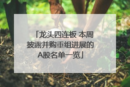 龙头四连板 本周披露并购重组进展的A股名单一览
