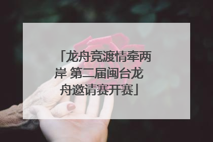 龙舟竞渡情牵两岸 第二届闽台龙舟邀请赛开赛