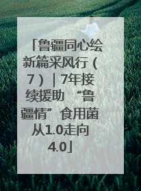 鲁疆同心绘新篇采风行（7）｜7年接续援助 “鲁疆情”食用菌从1.0走向4.0
