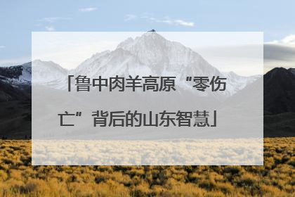 鲁中肉羊高原“零伤亡”背后的山东智慧