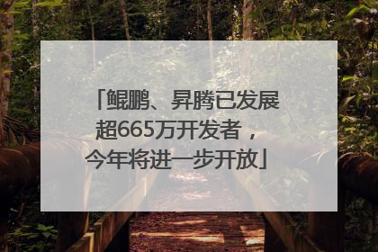 鲲鹏、昇腾已发展超665万开发者，今年将进一步开放