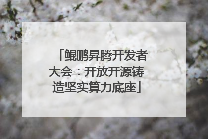 鲲鹏昇腾开发者大会：开放开源铸造坚实算力底座