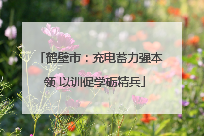 鹤壁市：充电蓄力强本领 以训促学砺精兵