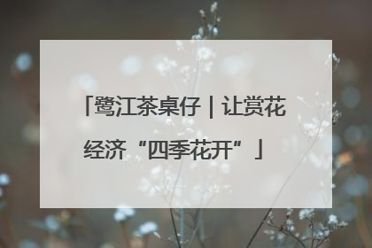 鹭江茶桌仔｜让赏花经济“四季花开”
