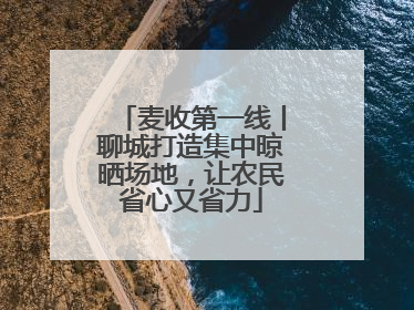 麦收第一线丨聊城打造集中晾晒场地，让农民省心又省力