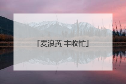 麦浪黄 丰收忙