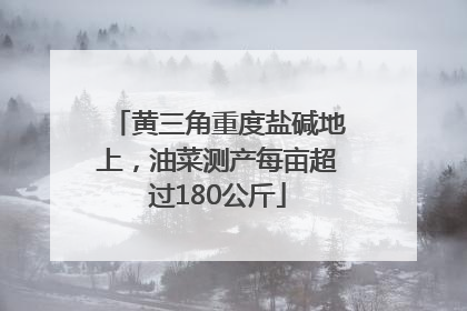 黄三角重度盐碱地上，油菜测产每亩超过180公斤