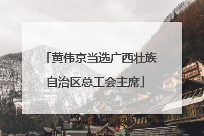 黄伟京当选广西壮族自治区总工会主席