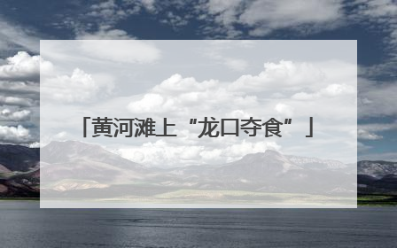 黄河滩上“龙口夺食”