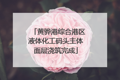 黄骅港综合港区液体化工码头主体面层浇筑完成