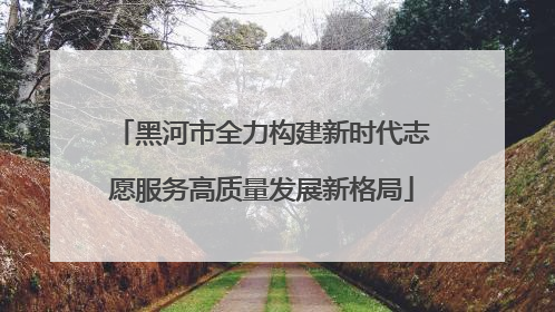 黑河市全力构建新时代志愿服务高质量发展新格局