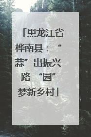 黑龙江省桦南县：“蒜”出振兴路 “园”梦新乡村
