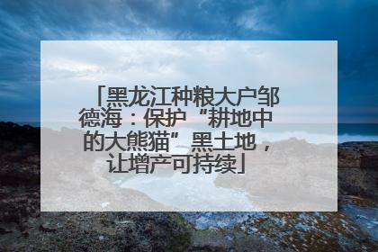黑龙江种粮大户邹德海：保护“耕地中的大熊猫”黑土地，让增产可持续
