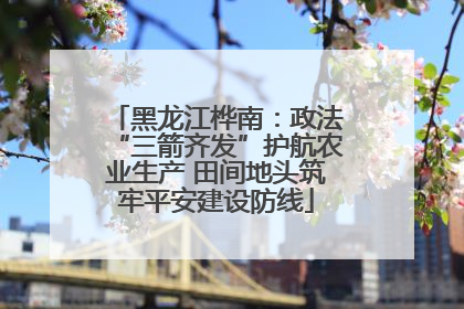 黑龙江桦南：政法“三箭齐发”护航农业生产 田间地头筑牢平安建设防线