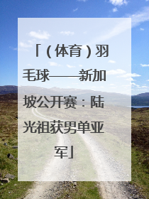 （体育）羽毛球——新加坡公开赛：陆光祖获男单亚军