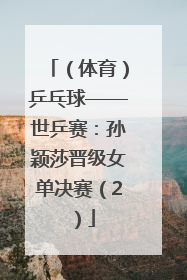（体育）乒乓球——世乒赛：孙颖莎晋级女单决赛（2）