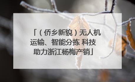 （侨乡新貌）无人机运输、智能分拣 科技助力浙江杨梅产销