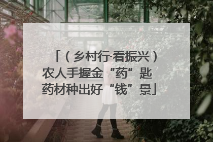 （乡村行·看振兴）农人手握金“药”匙 药材种出好“钱”景