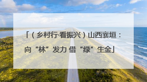 （乡村行·看振兴）山西襄垣：向“林”发力 借“绿”生金