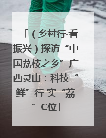 （乡村行·看振兴）探访“中国荔枝之乡”广西灵山：科技“鲜”行 实“荔”C位