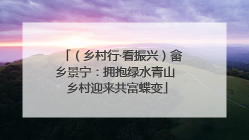 （乡村行·看振兴）畲乡景宁：拥抱绿水青山 乡村迎来共富蝶变