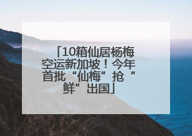 10箱仙居杨梅空运新加坡！今年首批“仙梅”抢“鲜”出国