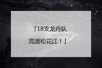18支龙舟队竞渡松花江！