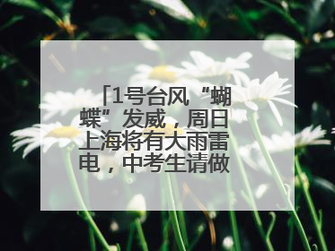 1号台风“蝴蝶”发威，周日上海将有大雨雷电，中考生请做好防范准备