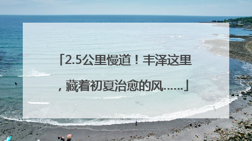 2.5公里慢道！丰泽这里，藏着初夏治愈的风……