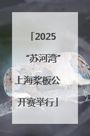 2025“苏河湾”上海桨板公开赛举行