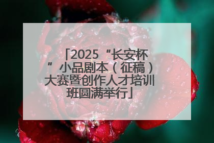 2025“长安杯”小品剧本（征稿）大赛暨创作人才培训班圆满举行