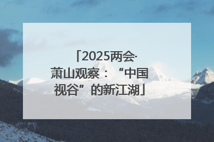 2025两会·萧山观察：“中国视谷”的新江湖