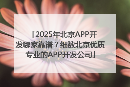 2025年北京APP开发哪家靠谱？细数北京优质专业的APP开发公司
