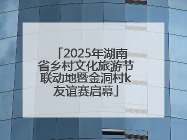 2025年湖南省乡村文化旅游节联动地暨金洞村k友谊赛启幕