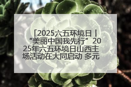 2025六五环境日丨“美丽中国我先行”2025年六五环境日山西主场活动在大同启动 多元形式绘就生态画卷