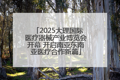2025大理国际医疗器械产业博览会开幕 开启南亚东南亚医疗合作新篇