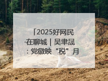 2025好网民·在聊城｜吴聿晟：党徽映“税”月 网播传政声