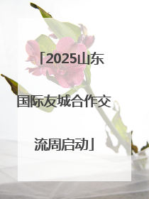 2025山东国际友城合作交流周启动