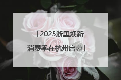 2025浙里焕新消费季在杭州启幕