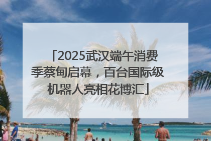 2025武汉端午消费季蔡甸启幕，百台国际级机器人亮相花博汇