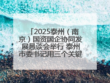2025泰州（南京）国资国企协同发展恳谈会举行 泰州市委书记用三个关键词推介泰州