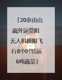 20余亩山蔬外运受阻 无人机极限飞行8小时转运6吨蔬菜