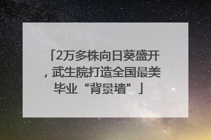 2万多株向日葵盛开，武生院打造全国最美毕业“背景墙”
