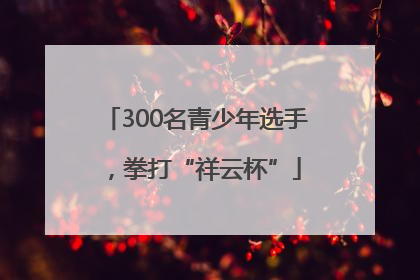 300名青少年选手，拳打“祥云杯”